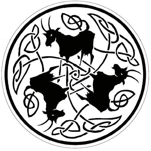 logo Helvii